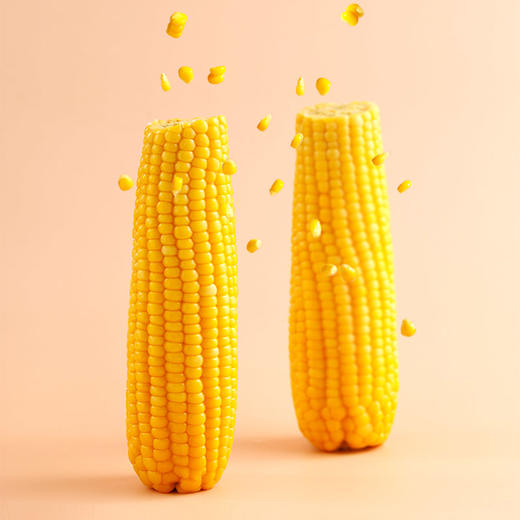 【新玉米上市】-鲜食玉米甜糯款 红色礼箱 200g*12棒JL 商品图5