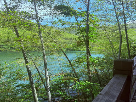 五一4日【溧阳竹光】江南人文山水の竹海秘境-湖光禅意-南山竹海-窑湖小镇-天目湖-报恩禅寺-溧阳夜景-南京 商品图6