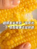 【*自家菜地无化肥】东北绿色种植弱碱甜糯玉米220g*10棒JL 商品缩略图5