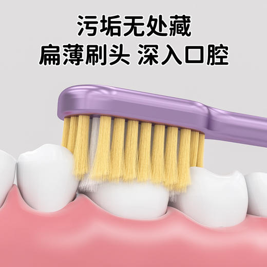 「9.9到手5支！高颜值」轻奢罗马柱凸面软毛牙刷清洁软护龈成人情侣款宿舍牙刷口腔护理 商品图2
