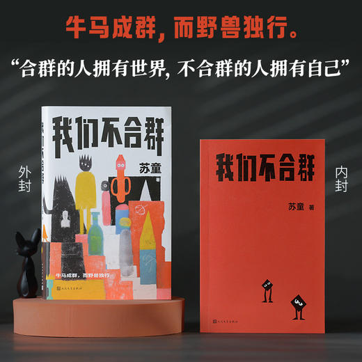 我们不合群 商品图1