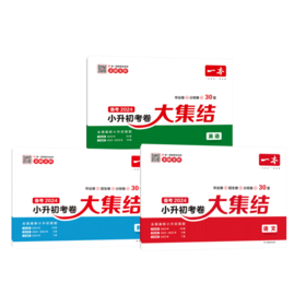 一本 小升初考卷大集结 语文+数学+英语 2024