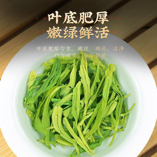 茶马世家高山云雾茶硒茶500g 商品图6