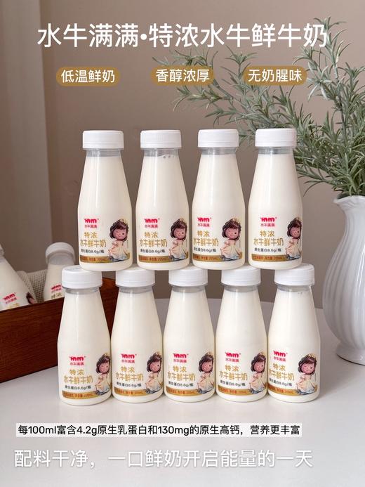【预售5天发货】水牛满满·特浓水牛鲜牛奶，喝一口直接沦陷！比普通牛奶浓郁N倍，奶香爆炸，口感丝滑到像在喝液态奶糖，全家都爱的营养鲜奶，值得无限回购！ 商品图0