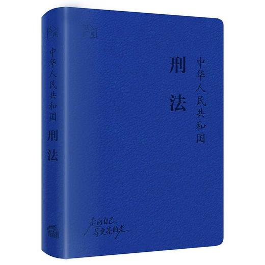 中华人民共和国刑法 商品图2