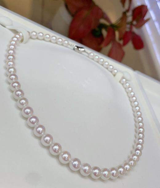 7-7.5mmakoya项链 商品图3