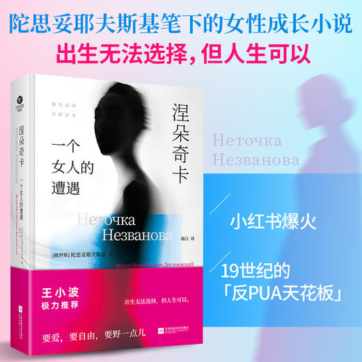 涅朵奇卡:一个女人的遭遇 商品图1