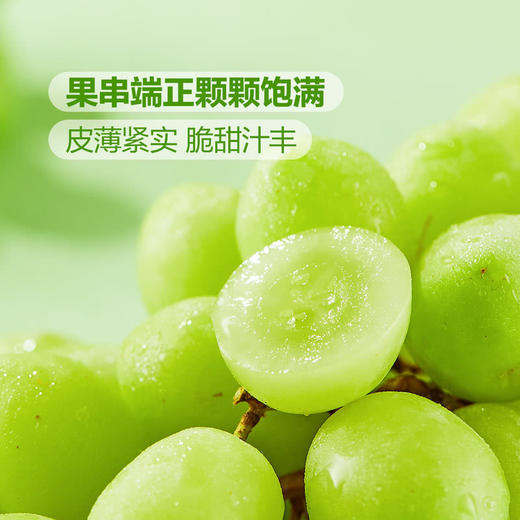 MM 山姆 澳洲无籽青提 1.36kg 商品图4