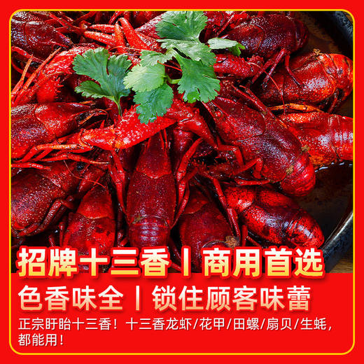 盱眙小龙虾调料 十三香 麻辣小龙虾调料 香辣海鲜调味料商用批发 商品图2