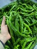 专做辣椒炒肉的辣椒，1斤 商品缩略图0