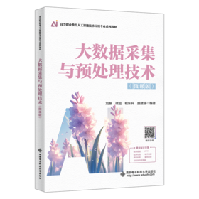 大数据采集与预处理技术:微课版