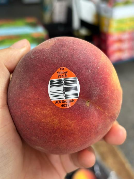 【进口】澳洲黄肉水蜜桃，可以撕皮哦，桃香浓郁，鲜甜多汁，口口回味。 商品图3