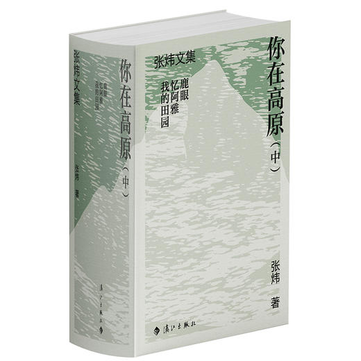 你在高原.中(全3册) 商品图1