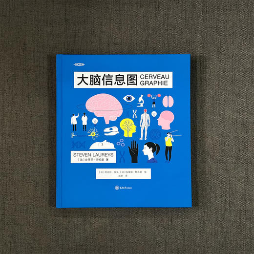 大脑信息图 商品图0