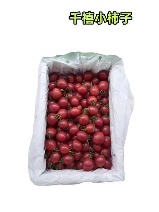 千禧小柿子 商品图0