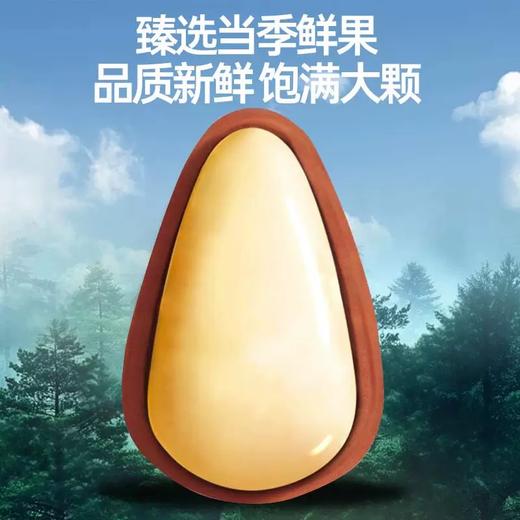 *长白山森林气息有机东北红松子(绿标1100松子）JL 商品图1