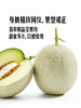 MM 山姆  网纹甜瓜 2粒装（总净重≥2.4kg） 商品缩略图2