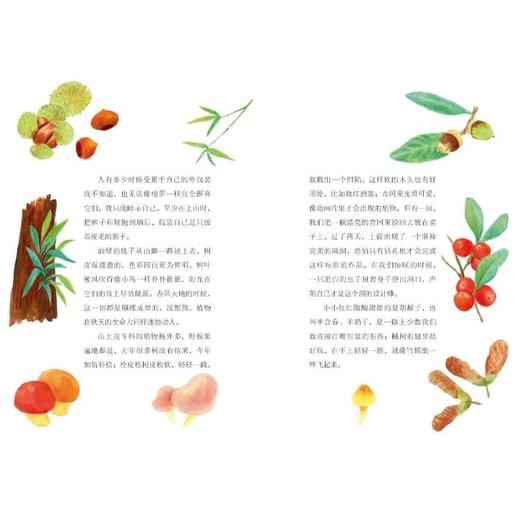 森林的眼睛 商品图2