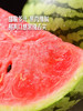 MM 山姆 美都西瓜 1个 商品缩略图2