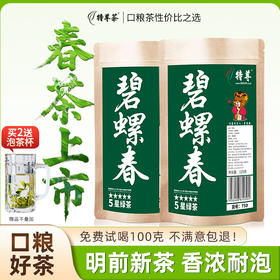 2026新茶上市明前春茶5星碧螺春绿茶125g*2袋