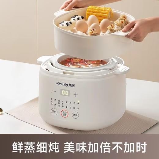 九阳隔水炖1.0L升电炖锅家用燕窝电炖盅婴儿辅食锅宝宝煮粥煲汤锅 商品图7