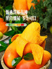 MM 山姆 贵妃芒 1.3kg 商品缩略图4