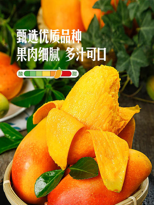 MM 山姆 贵妃芒 1.3kg 商品图4
