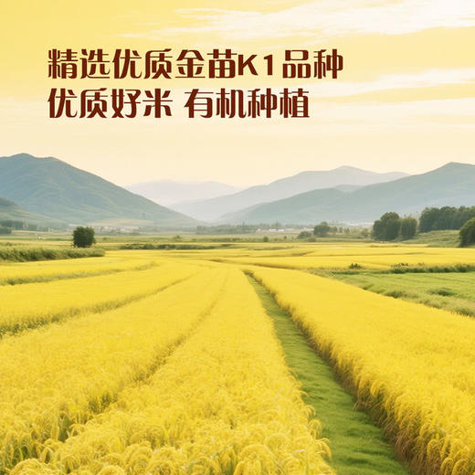 Member's Mark 有机小米2.3kg  山姆会员店商品非商品原因不支持退款 商品图4