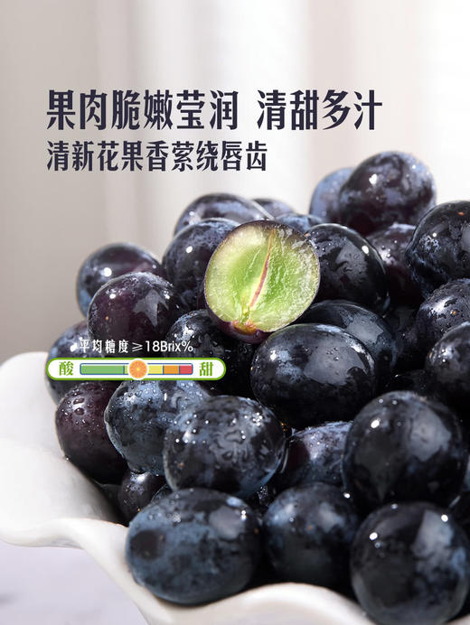 MM 山姆 进口无籽黑提 1.36kg 商品图2