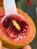 新西兰佳沛红心猕猴桃 只有一个月一果期 硬的就能吃，一颗维生素含量 相当于六颗苹果，满足全天人体所需！30大果～ 商品缩略图1