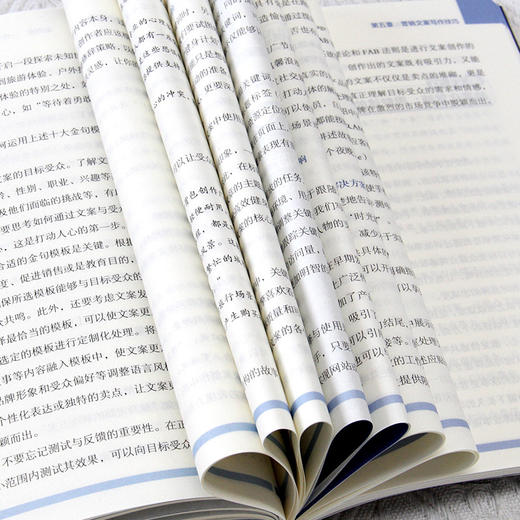 AI 爆款文案高手速成 商品图4