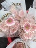 精品花材华沙非洲菊10支 商品缩略图2
