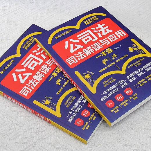 公司法:司法解读与应用一本通 商品图3