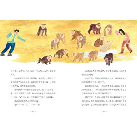 森林的眼睛 商品图1