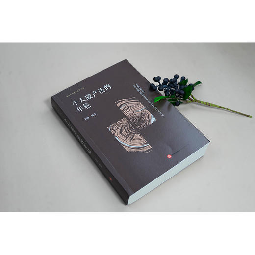 个人破产法的年轮 商品图2
