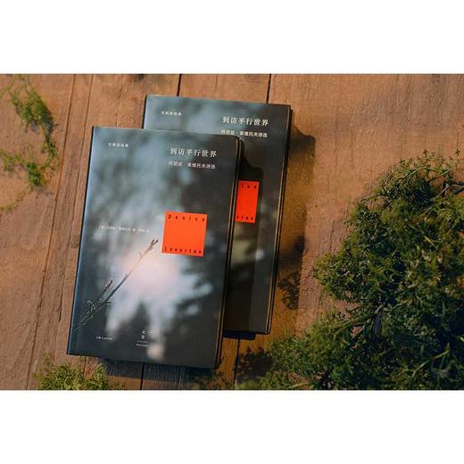 到访平行世界 商品图4