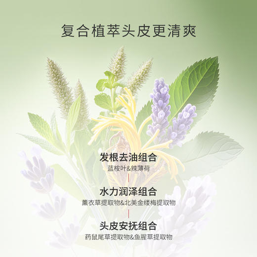 【玛丝兰系列】香氛控油蓬松洗发水（凛然之夏）【非质量真假问题不支持七天无理由退款】 商品图2