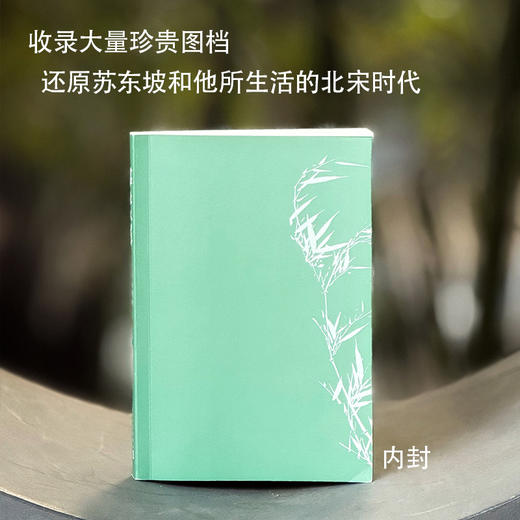 名士之累:苏东坡的十二个人生侧面 商品图4