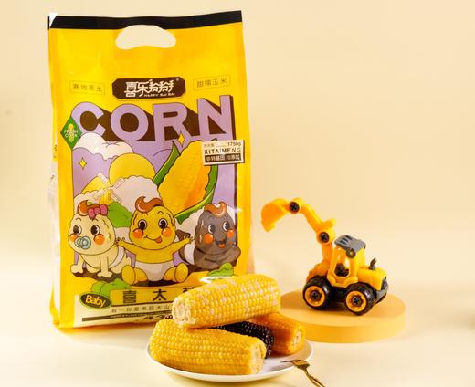 【软糯香甜】喜太萌baby款东北甜糯小棒真空鲜食玉米粗粮JL 商品图4