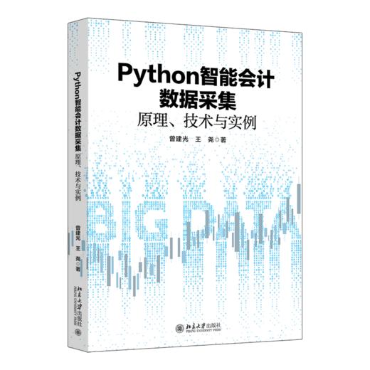 Python智能会计数据采集:原理.技术与实例 商品图0