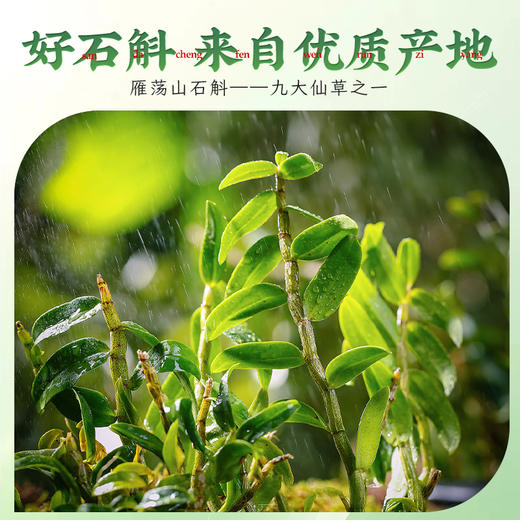 胡庆余堂 金耳铁皮石斛饮JL 商品图3