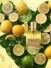 尼柯徕融合之水柚子之水无花果茶纽约精粹纽约宫娥香水 商品缩略图5