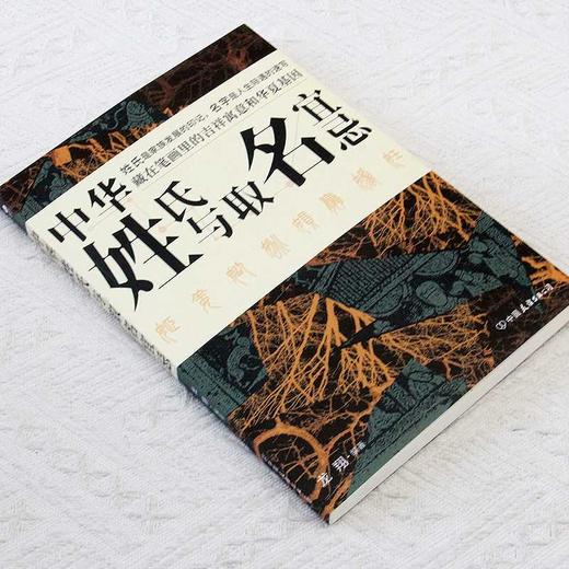 中华姓氏与取名宜忌 商品图2