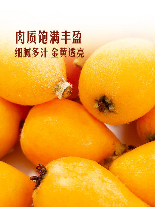 MM 山姆 高山玲珑枇杷 800g 商品图5