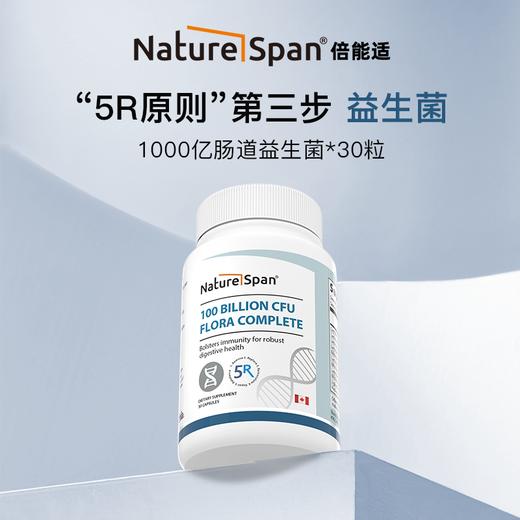 【肠道5R】综合多重天然草本小檗碱+1000亿益生菌+消化酶+纤维营养粉组合4瓶/套 NS倍能适美国 商品图4