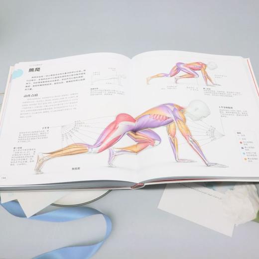 HIIT运动解剖学 商品图4