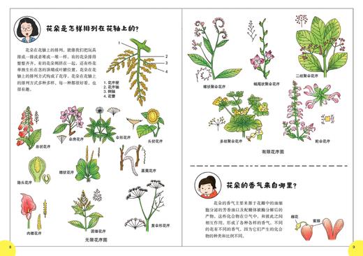 跟着院士探秘植物王国（套装6册） 拓展小学科学课 问答通俗易懂 商品图4
