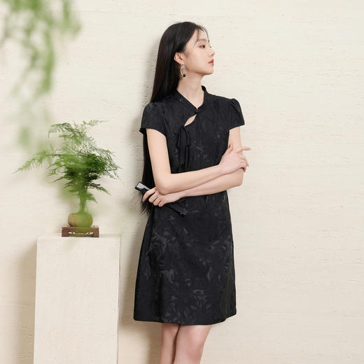 【花晨月夕】三彩2026夏季新款立领收腰连衣裙新中式短袖A字裙C 商品图2