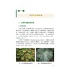 内蒙古冷凉蔬菜常见病虫害鉴别与防治 商品缩略图2