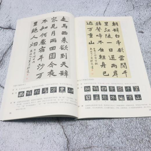 张猛龙碑 商品图4